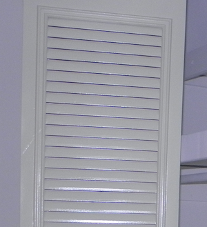 closet with built in book shelves